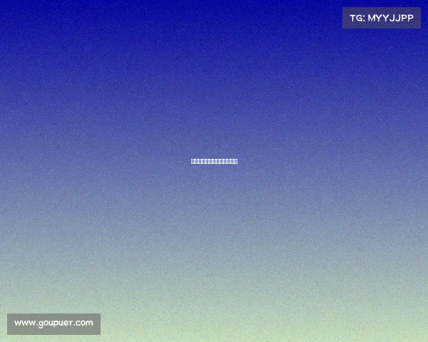 搏击赛事举办、搏击比赛赛事